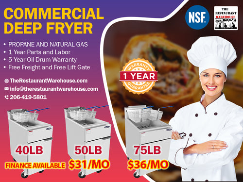 Atosa Deep Fryer