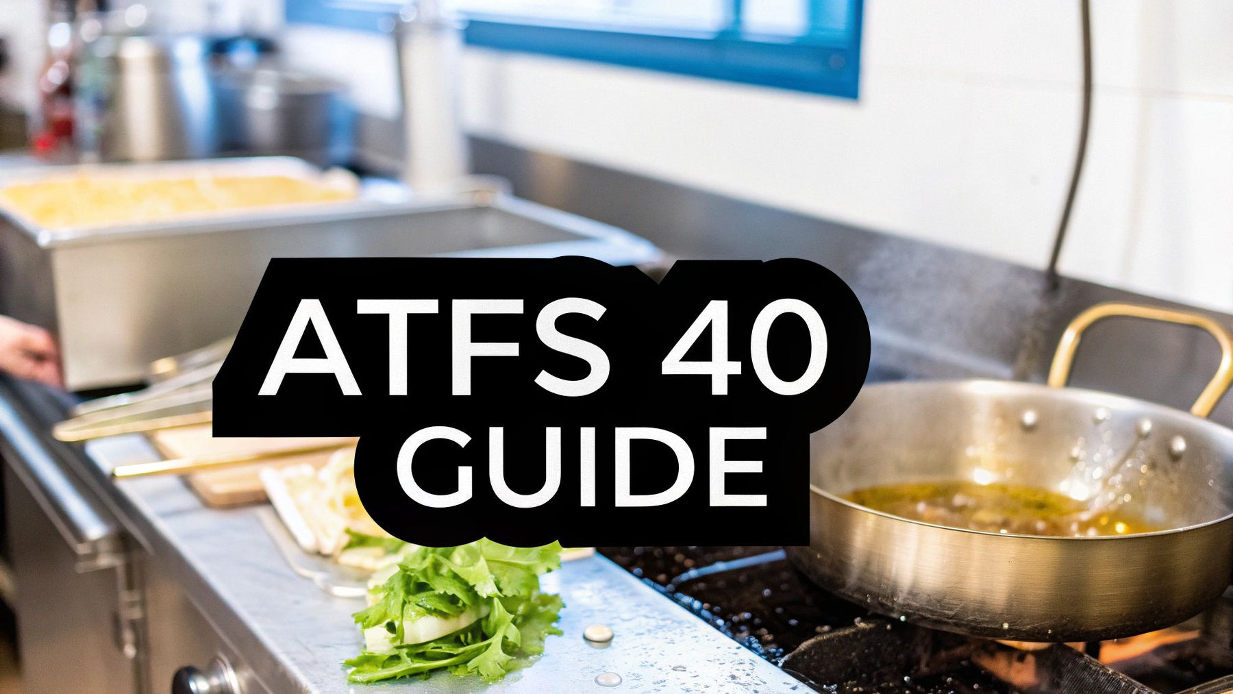 Atosa ATFS 40 Fryer Review: Is It Right for You?