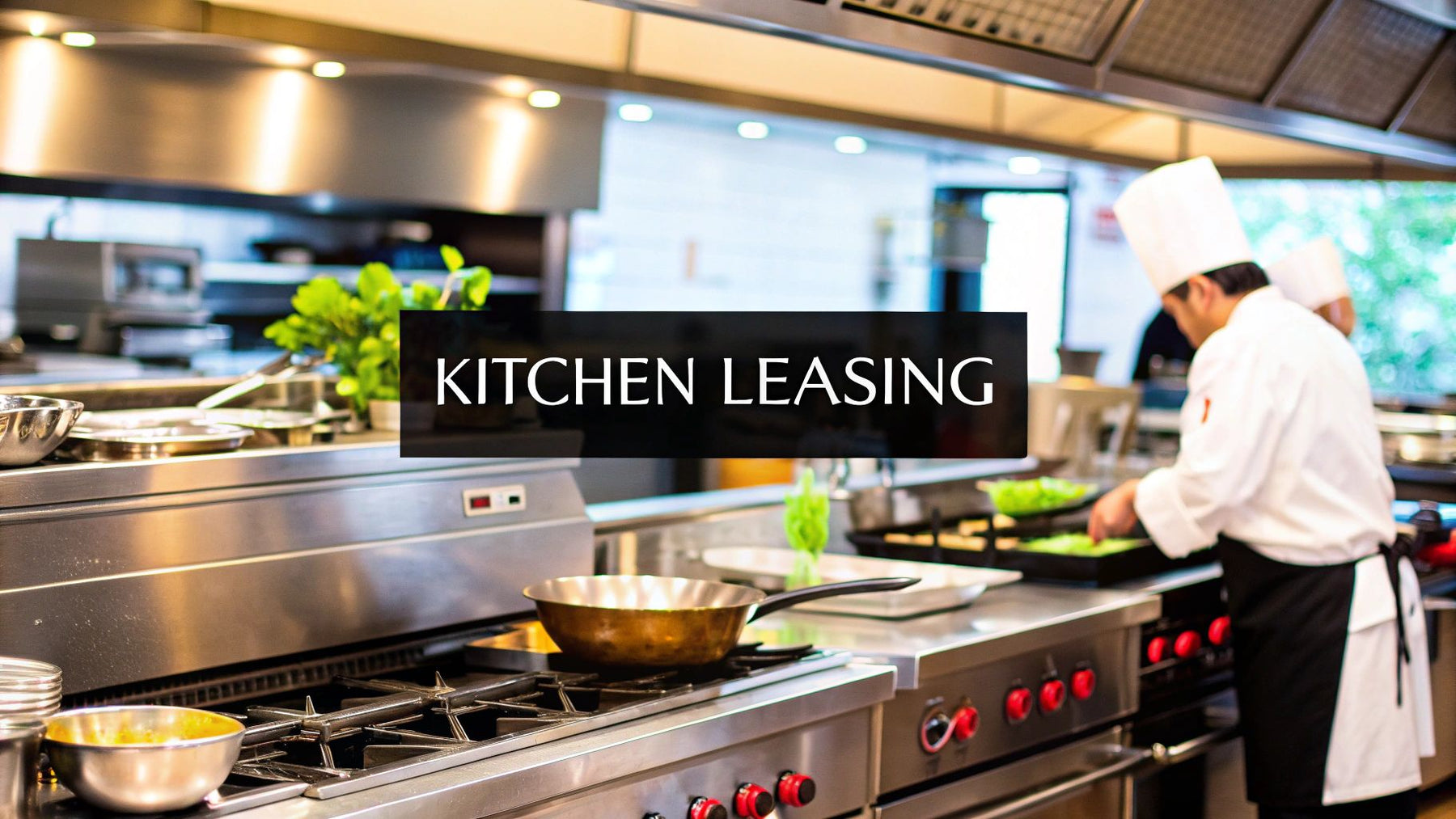 A Guide to Leasing Commercial Kitchen Equipment