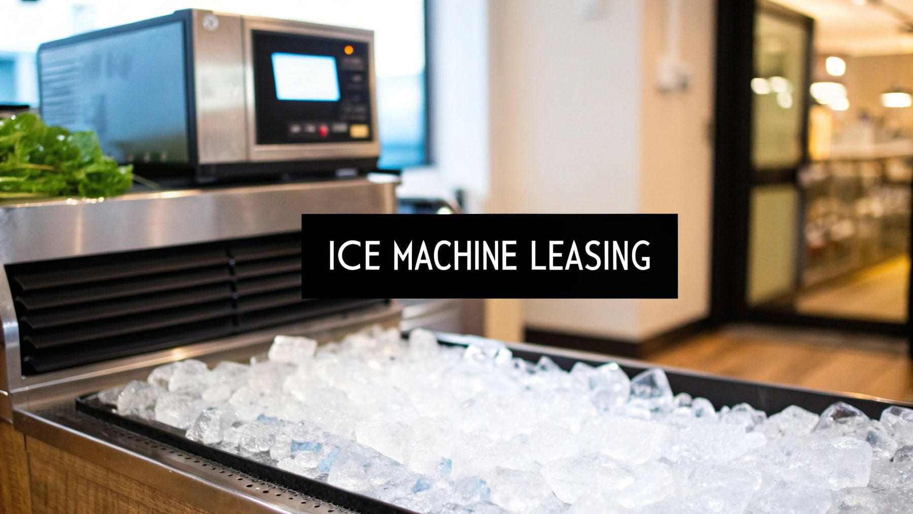 A Complete Guide to Ice Machine Leasing for Businesses