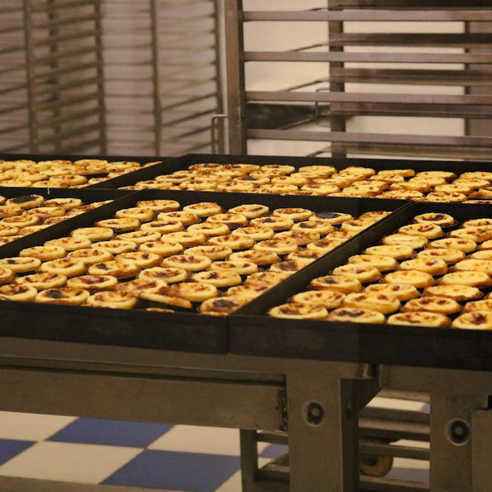 Industrial Ovens for Baking: Your Recipe for Bakery Success