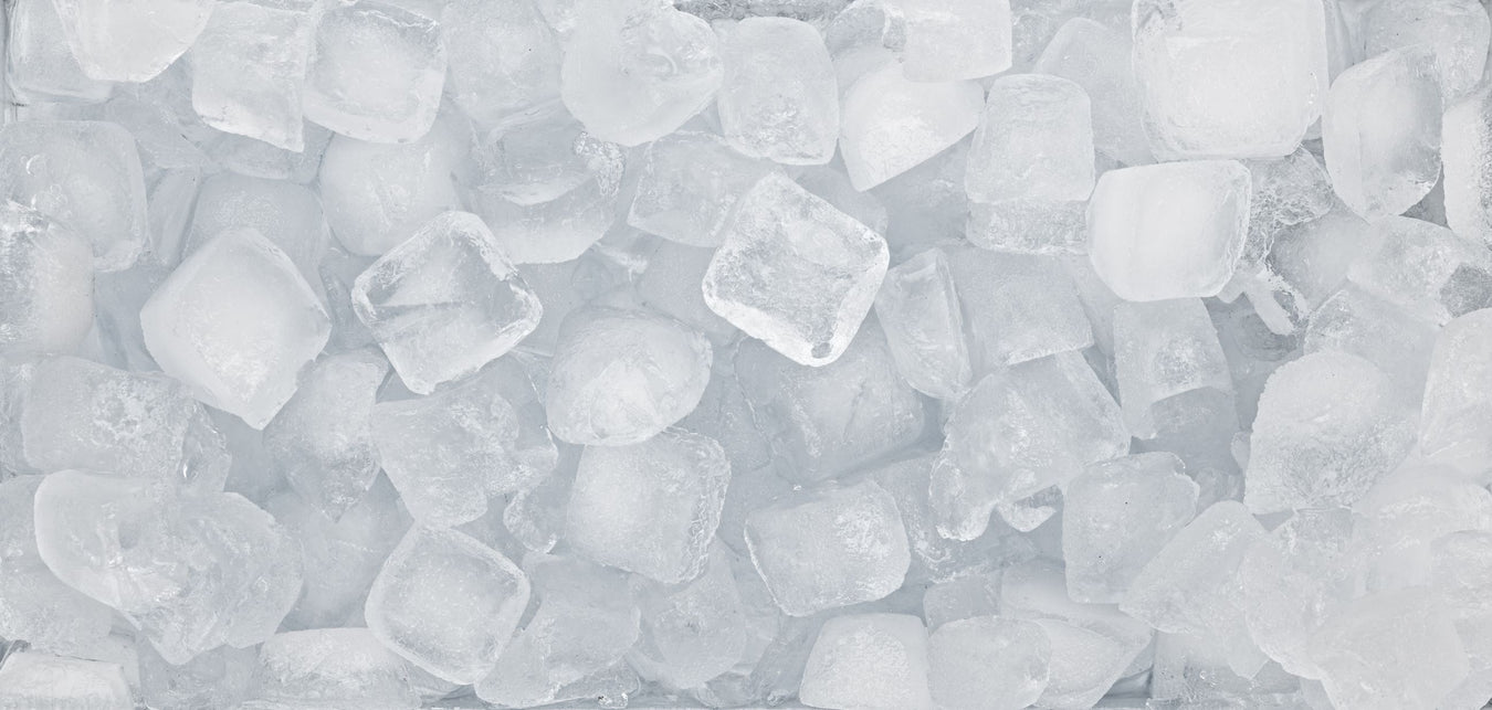 Hoshizaki Ice Machine