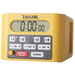 Taylor Precision 5839N Electronic Timer