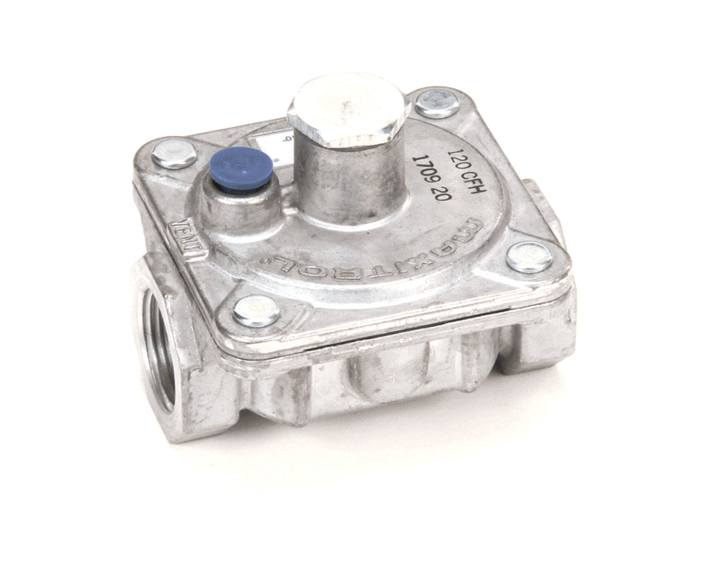 Atosa USA 301030014 Regulator, Gas Pressure