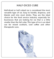 Atosa USA HD350-AP-161 Hotel Ice Machine