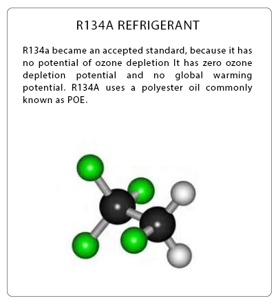 Atosa USA MMF9110 Angled Curve Top Ice Cream Freezer - 9 Cubic Feet