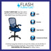 Blue Mesh Office Chair