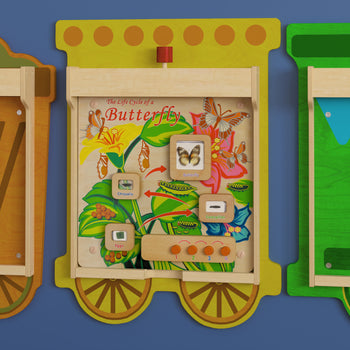 Life Cycle Wooden STEAM Board